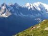 Le Mont Blanc