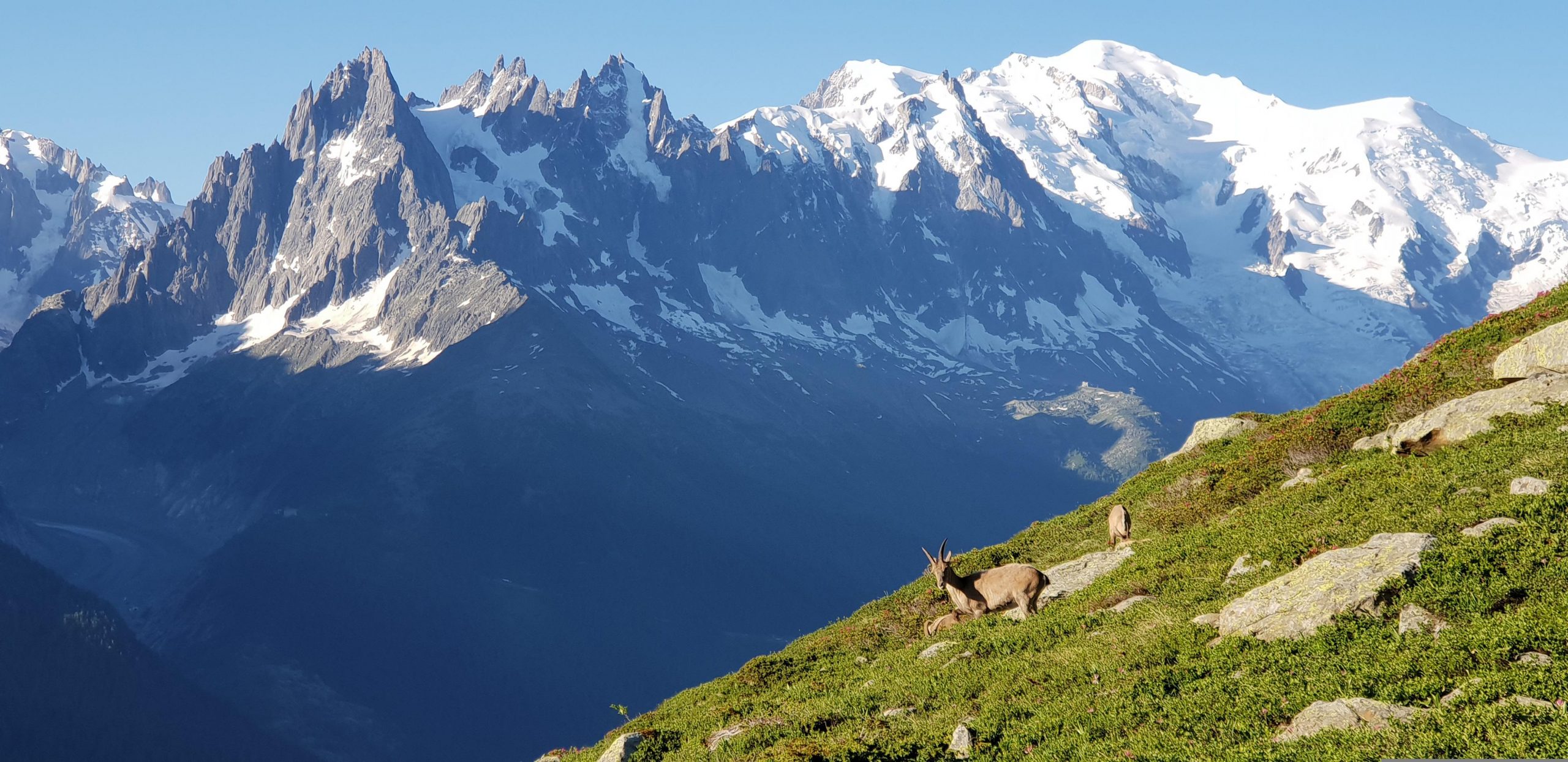 Le Mont Blanc